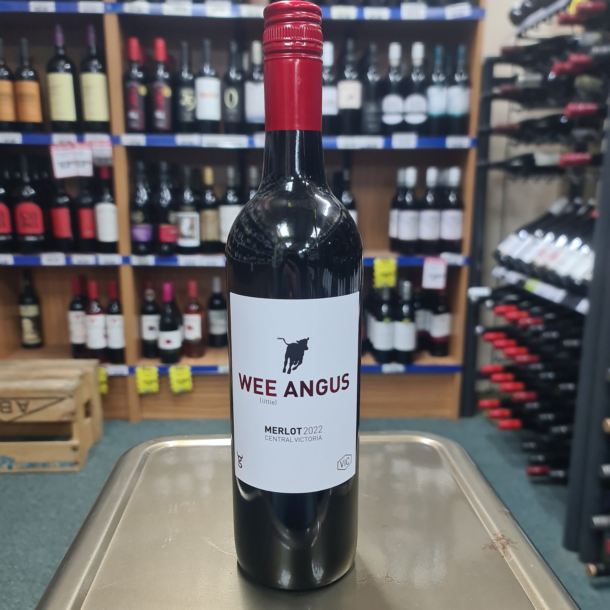 Wee Angus Merlot 750ml — Eight PM