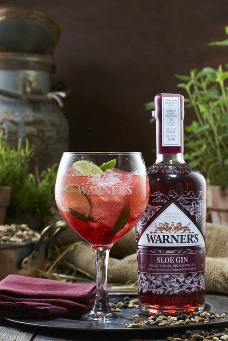 Warner's Sloe Gin 700ml